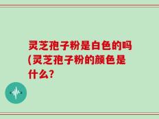 灵芝孢子粉是白色的吗(灵芝孢子粉的颜色是什么？