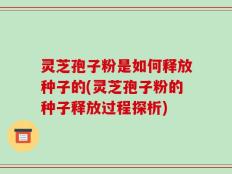 灵芝孢子粉是如何释放种子的(灵芝孢子粉的种子释放过程探析)