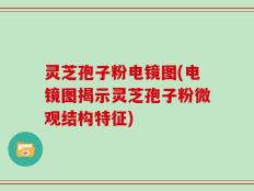 灵芝孢子粉电镜图(电镜图揭示灵芝孢子粉微观结构特征)