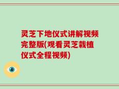 灵芝下地仪式讲解视频完整版(观看灵芝栽植仪式全程视频)