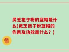 灵芝孢子粉的蓝帽是什么(灵芝孢子粉蓝帽的作用及功效是什么？)