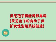 灵芝孢子粉能养卵巢吗(灵芝孢子粉有助于保护女性生殖系统健康)