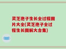 灵芝孢子生长全过程图片大全(灵芝孢子全过程生长图解大合集)