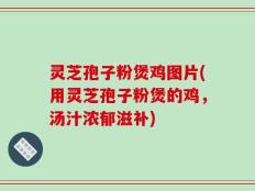 灵芝孢子粉煲鸡图片(用灵芝孢子粉煲的鸡，汤汁浓郁滋补)