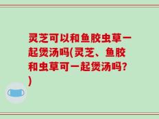 灵芝可以和鱼胶虫草一起煲汤吗(灵芝、鱼胶和虫草可一起煲汤吗？)