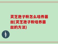 灵芝孢子粉怎么培养菌丝(灵芝孢子粉培养菌丝的方法)