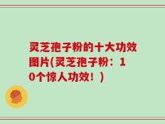 灵芝孢子粉的十大功效图片(灵芝孢子粉：10个惊人功效！)