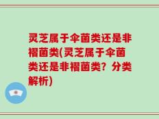 灵芝属于伞菌类还是非褶菌类(灵芝属于伞菌类还是非褶菌类？分类解析)