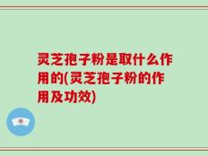 灵芝孢子粉是取什么作用的(灵芝孢子粉的作用及功效)