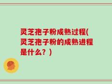灵芝孢子粉成熟过程(灵芝孢子粉的成熟进程是什么？)