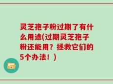 灵芝孢子粉过期了有什么用途(过期灵芝孢子粉还能用？拯救它们的5个办法！)