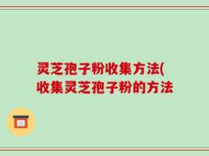 灵芝孢子粉收集方法(收集灵芝孢子粉的方法