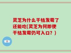灵芝为什么干枯发霉了还能吃(灵芝为何即使干枯发霉仍可入口？)