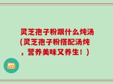 灵芝孢子粉跟什么炖汤(灵芝孢子粉搭配汤炖，营养美味又养生！)