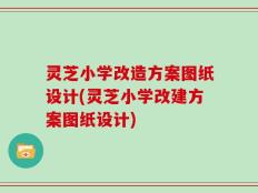 灵芝小学改造方案图纸设计(灵芝小学改建方案图纸设计)