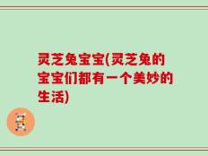 灵芝兔宝宝(灵芝兔的宝宝们都有一个美妙的生活)