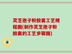 灵芝孢子粉胶囊工艺规程图(制作灵芝孢子粉胶囊的工艺步骤图)