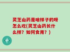 灵芝山药是啥样子的呀怎么吃(灵芝山药长什么样？如何食用？)