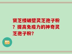 贤芝楼破壁灵芝孢子粉？提高免疫力的神奇灵芝孢子粉？