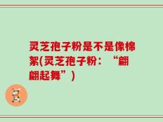 灵芝孢子粉是不是像棉絮(灵芝孢子粉：“翩翩起舞”)
