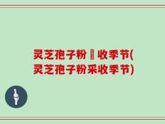 灵芝孢子粉釆收季节(灵芝孢子粉采收季节)