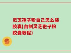 灵芝孢子粉自己怎么装胶囊(自制灵芝孢子粉胶囊教程)