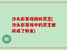 沙头彩茶戏拗碎灵芝(沙头彩茶戏中的灵芝被碎成了粉末)