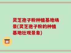 灵芝孢子粉种植基地场景(灵芝孢子粉的种植基地壮观景象)