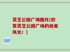 灵芝公园广场图片(欣赏灵芝公园广场的绝美风光！)