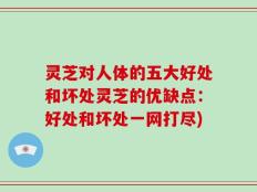 灵芝对人体的五大好处和坏处灵芝的优缺点：好处和坏处一网打尽)