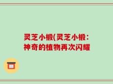 灵芝小椴(灵芝小椴：神奇的植物再次闪耀