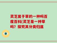 灵芝属于草的一种吗百度百科(灵芝是一种草吗？探究其分类归属