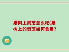果树上灵芝怎么吃(果树上的灵芝如何食用？
