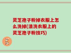 灵芝孢子粉掉衣服上怎么洗掉(清洗衣服上的灵芝孢子粉技巧)