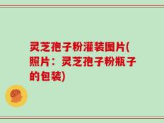 灵芝孢子粉灌装图片(照片：灵芝孢子粉瓶子的包装)