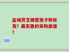 盐城灵芝破壁孢子粉批发？最实惠的采购渠道？