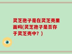灵芝孢子是在灵芝壳里面吗(灵芝孢子是否存于灵芝壳中？)