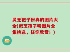 灵芝孢子粉真的图片大全(灵芝孢子粉图片全集挑选，任你欣赏！)
