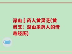 深山採药人黄灵芝(黄灵芝：深山采药人的传奇经历)