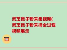 灵芝孢子粉采集视频(灵芝孢子粉采摘全过程视频展示