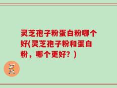 灵芝孢子粉蛋白粉哪个好(灵芝孢子粉和蛋白粉，哪个更好？)