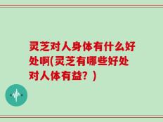 灵芝对人身体有什么好处啊(灵芝有哪些好处对人体有益？)