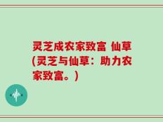 灵芝成农家致富 仙草(灵芝与仙草：助力农家致富。)