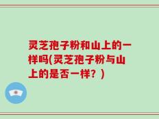 灵芝孢子粉和山上的一样吗(灵芝孢子粉与山上的是否一样？)