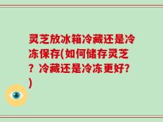 灵芝放冰箱冷藏还是冷冻保存(如何储存灵芝？冷藏还是冷冻更好？)