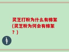 灵芝打粉为什么有棉絮(灵芝粉为何会有棉絮？)