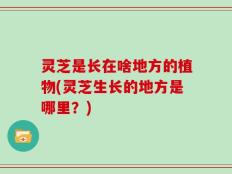 灵芝是长在啥地方的植物(灵芝生长的地方是哪里？)