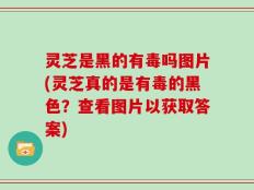 灵芝是黑的有毒吗图片(灵芝真的是有毒的黑色？查看图片以获取答案)