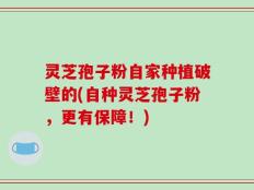 灵芝孢子粉自家种植破壁的(自种灵芝孢子粉，更有保障！)