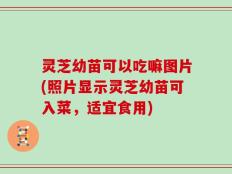 灵芝幼苗可以吃嘛图片(照片显示灵芝幼苗可入菜，适宜食用)